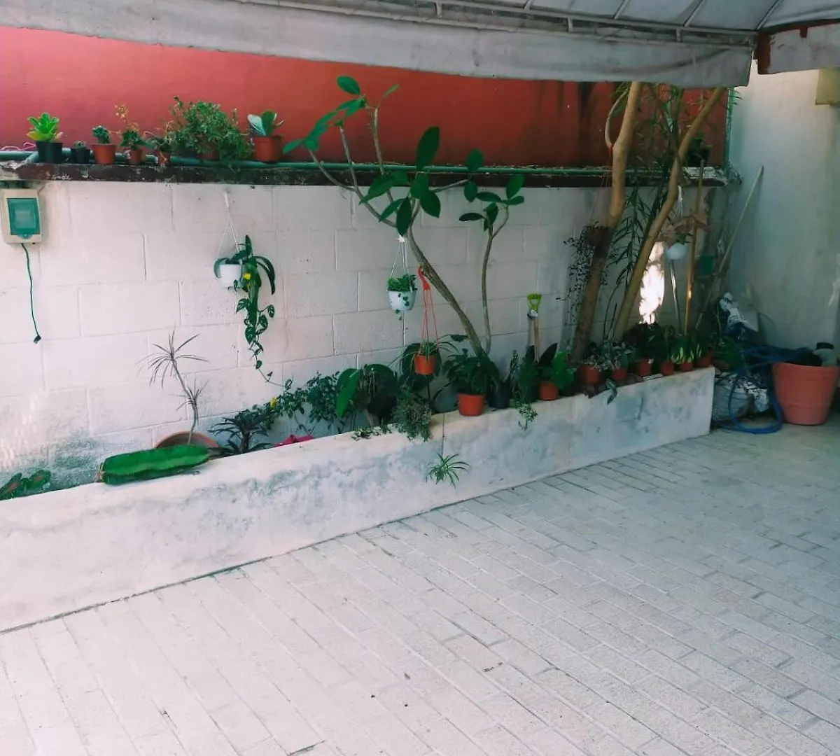Loft Soliman - Netflix - Hbo - Near Market 28 - Downtown Κανκούν Μεξικό